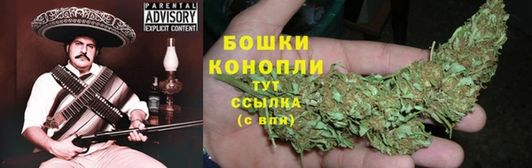 ПСИЛОЦИБИНОВЫЕ ГРИБЫ Протвино