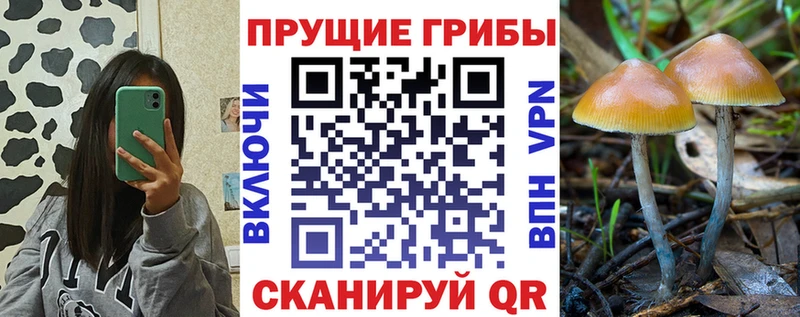 Галлюциногенные грибы ЛСД  что такое   Тимашёвск 